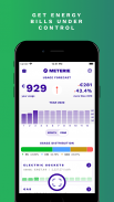 METERIE 🏠📉ALL IN ONE ENERGY CONSUMPTION FORECAST screenshot 2