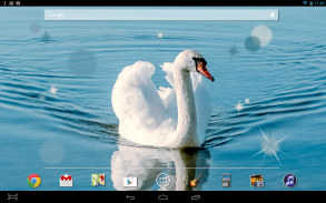 Swan Bird Live Wallpaper screenshot 2