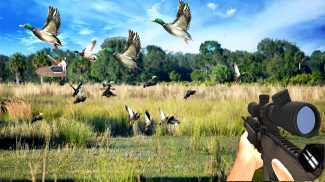 Duck Jagd Herausforderung screenshot 0