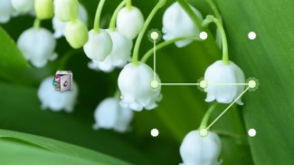 AppLock Lily of the Valley screenshot 3