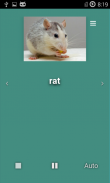 English Animals screenshot 2