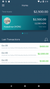 Haladinar HDN wallet screenshot 3