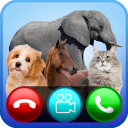 Video call from sound of animals - Text simulation