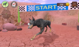 Doberman Dog Simulator screenshot 8