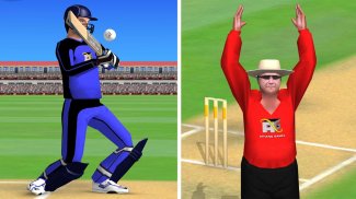 Smashing Cricket - a cricket game like none other screenshot 7