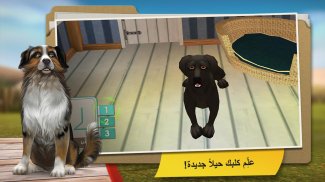 DogHotel - العب مع الكلاب screenshot 1
