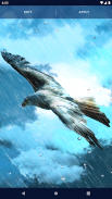 4D Eagle Rain Live Wallpaper screenshot 4