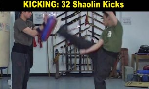 Shaolin Kung Fu screenshot 12