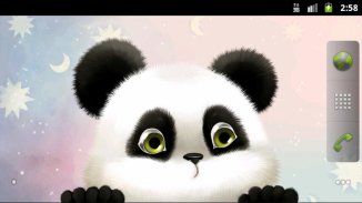 Panda Chub Live Wallpaper Free screenshot 0