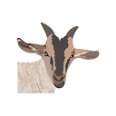 My Goat Manager - Farming app Icon