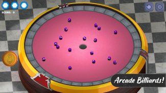 Billiards of the Round Table screenshot 1