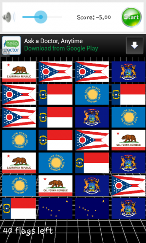 Usa 50 States Flags