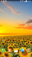 Flower Live Wallpaper screenshot 11