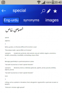 English to Urdu Dictionary screenshot 6