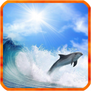 Dolphin Live Wallpaper screenshot 2