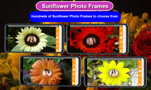 Sunflower Photo Frames screenshot 1