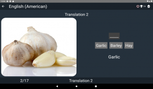 American English Test screenshot 14