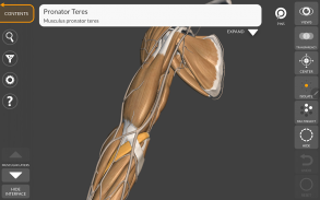 Anatomía 3D para el artista Lt screenshot 3
