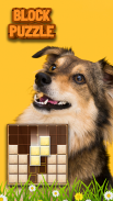 Wood Block Sort Puzzle Game screenshot 4