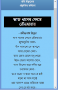 রবিঠাকুরের কবিতা ও জীবনী screenshot 7