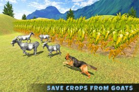 simulator anjing gembala screenshot 11
