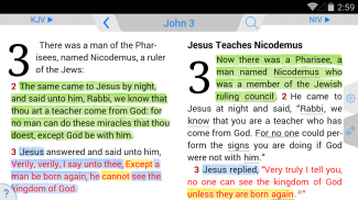 Holy Bible King James + Audio screenshot 13