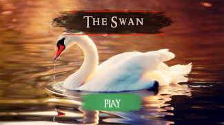 The Swan screenshot 3