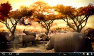 Africa 3D Free Live Wallpaper screenshot 6