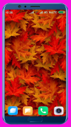 Leaves Wallpaper Best 4K screenshot 5