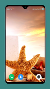 HD Seashell Wallpaper screenshot 1