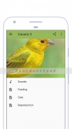 Canary screenshot 4