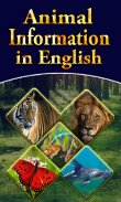 Animal Information in English screenshot 1