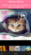 Fotos de mascotas - Editor de cara de mascotas screenshot 6
