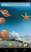 Sea shells Live Wallpaper screenshot 2