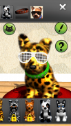 Oh My Dog - Virtual Pet screenshot 3