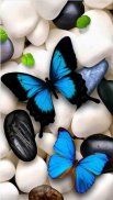 Butterfly Wallpapers screenshot 0