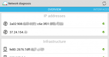 network diagnosis screenshot 1