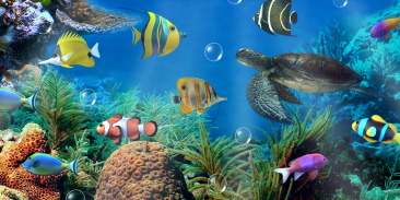 Aquarium live wallpaper screenshot 3