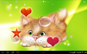 Funny Cat Live Wallpaper screenshot 4