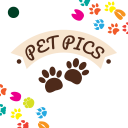 Pet Pictures - Фоторедактор - Pet Face Обои Icon
