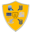 Database management system Icon