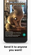 Videeze — Free status videos for WhatsApp & Insta screenshot 4