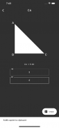 Right Triangle Calculator screenshot 4