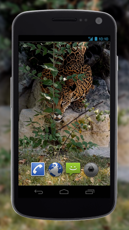4k Jaguar Live Wallpapers 2 04 Download Android Apk Aptoide Free 3d live wallpaper windows 7 (50 wallpapers). 4k jaguar video wallpaper en aptoide com
