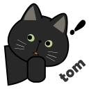 TomVPN - 稳定 快速 简单连接 翻墙科学上网 Icon