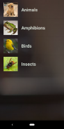 Animals Name and Sounds screenshot 3