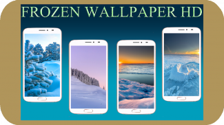 Frozen Wallpaper HD screenshot 6