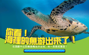 ARCOCEAN - ARC OCEAN AR screenshot 4