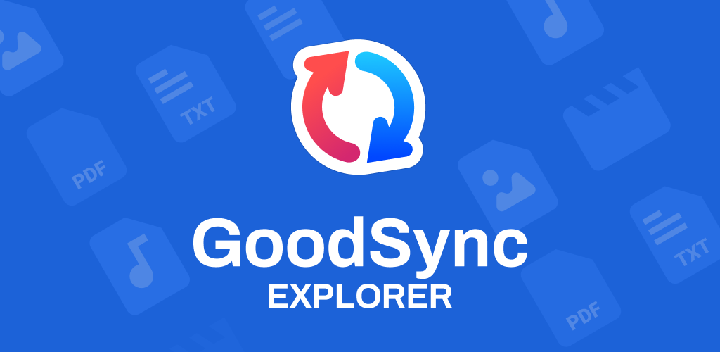 Goodsync. GOODSYNC 12.