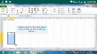 Learn M S Excel 2010 in Hindi screenshot 5